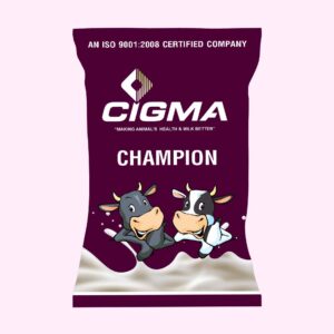 Champion