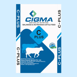Cigma Plus