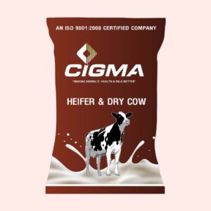 Cigma Dry Cow